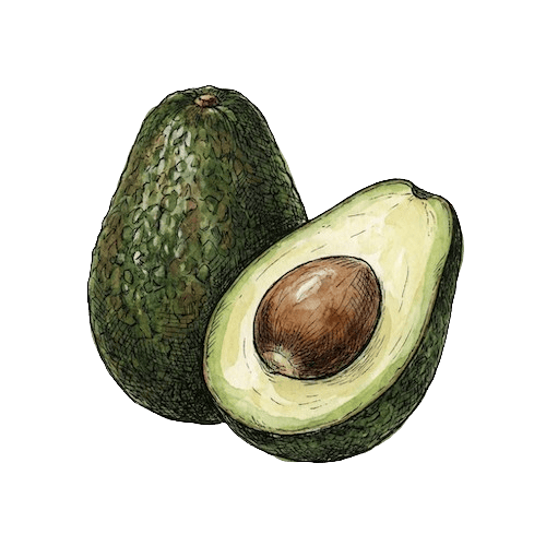 Avocado