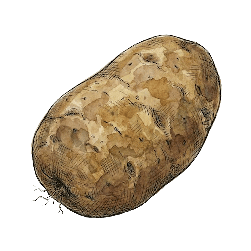 Kartoffel